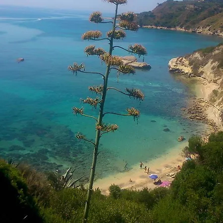 Thanasis Апартаменты *