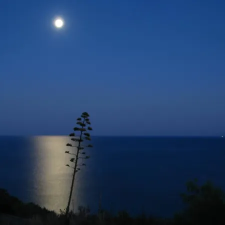 Thanasis *